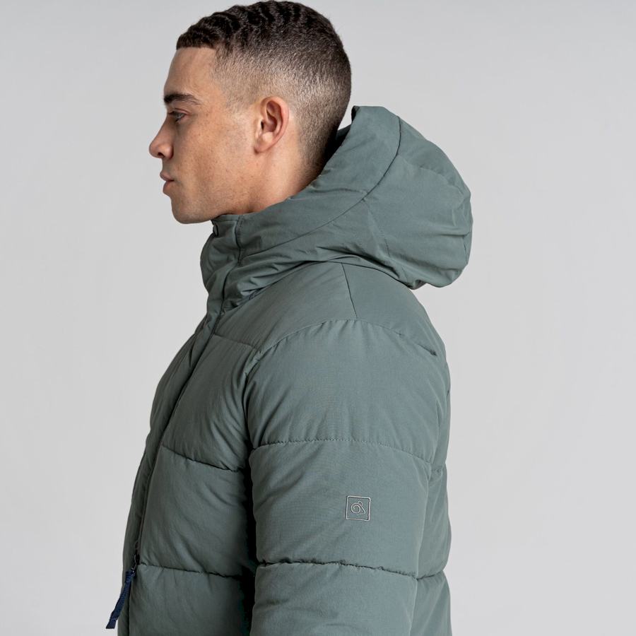 Vestes Craghoppers Dunbeath Insulated Encapuchonné Homme Vert | DCS6065MH