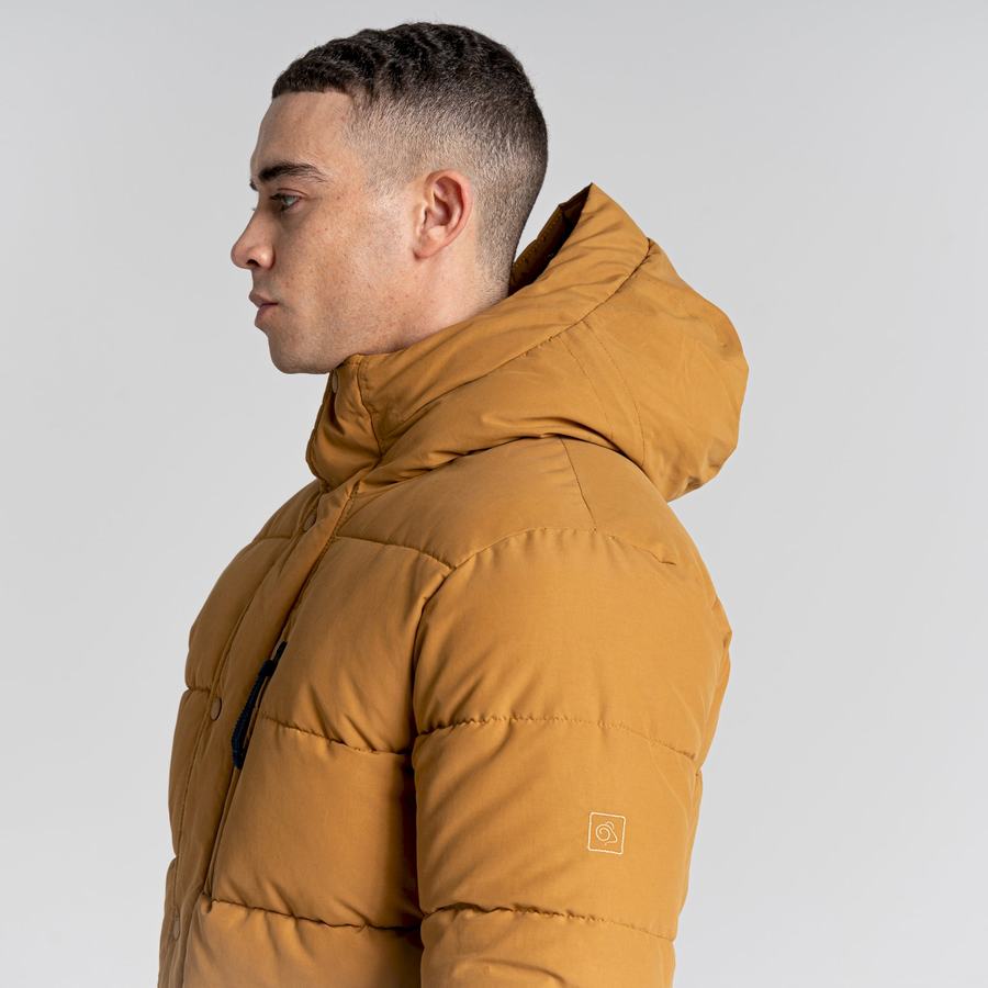 Vestes Craghoppers Dunbeath Insulated Encapuchonné Homme Grise Marron | DWA4549BG