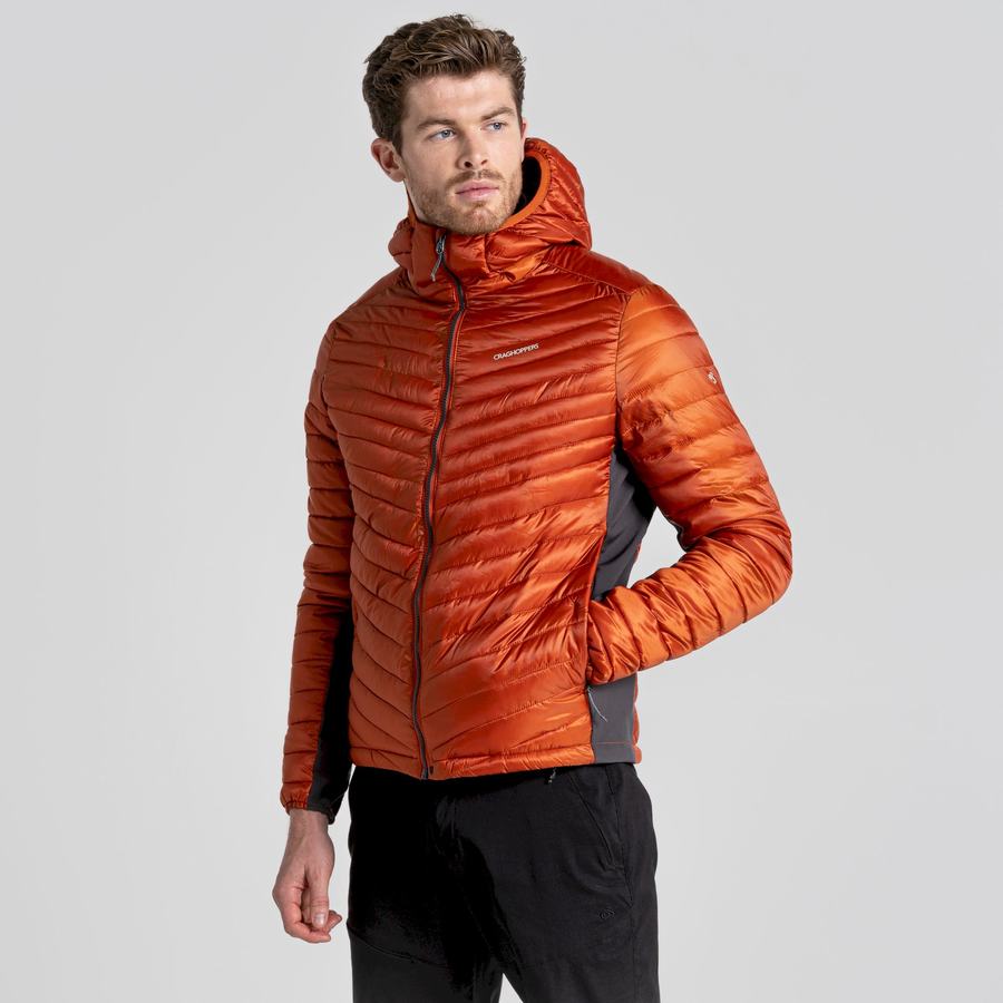 Vestes Craghoppers ExpoLite Insulated Encapuchonné Homme Orange | YUN6444ZQ