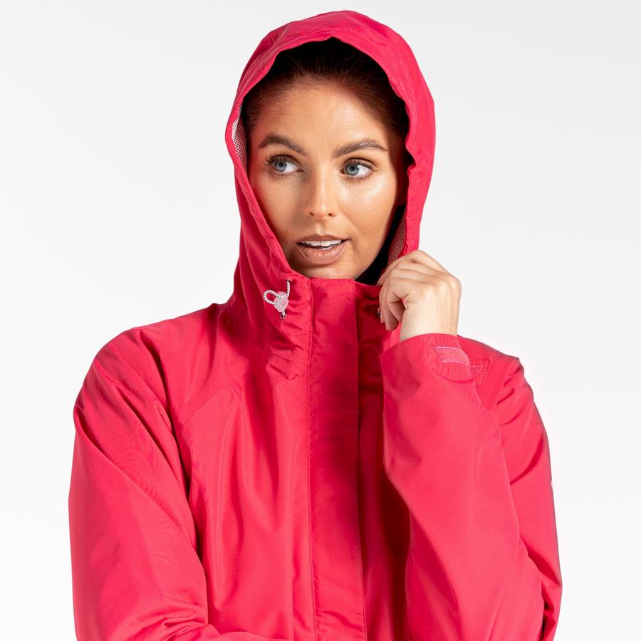 Vestes Craghoppers Imperméables Orion Femme Violette Fleur | XHG8871OR