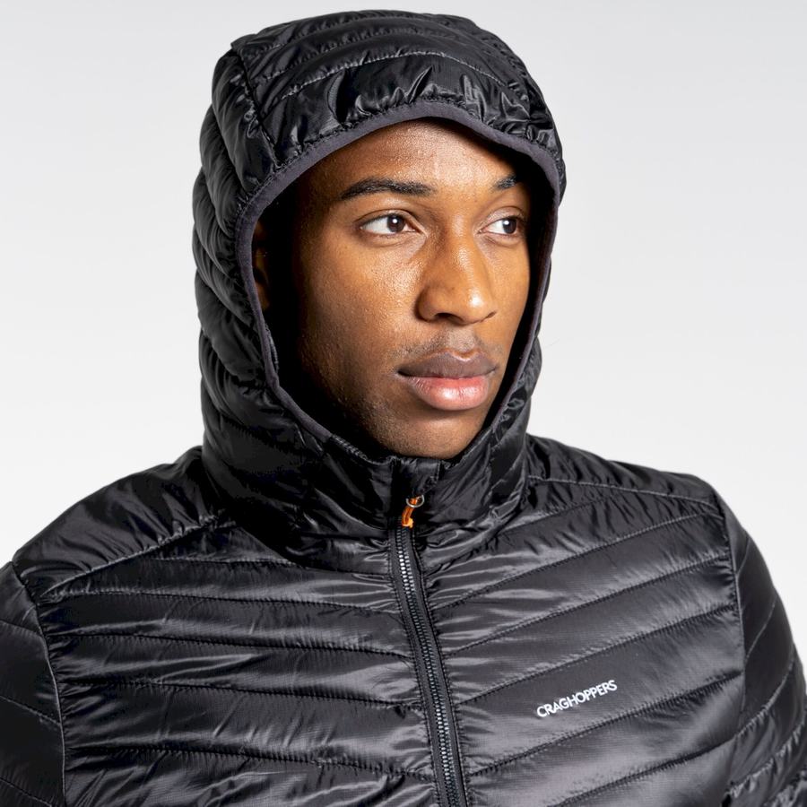 Vestes Craghoppers Insulated ExpoLite Encapuchonné Homme Noir Orange | BIB9987DH