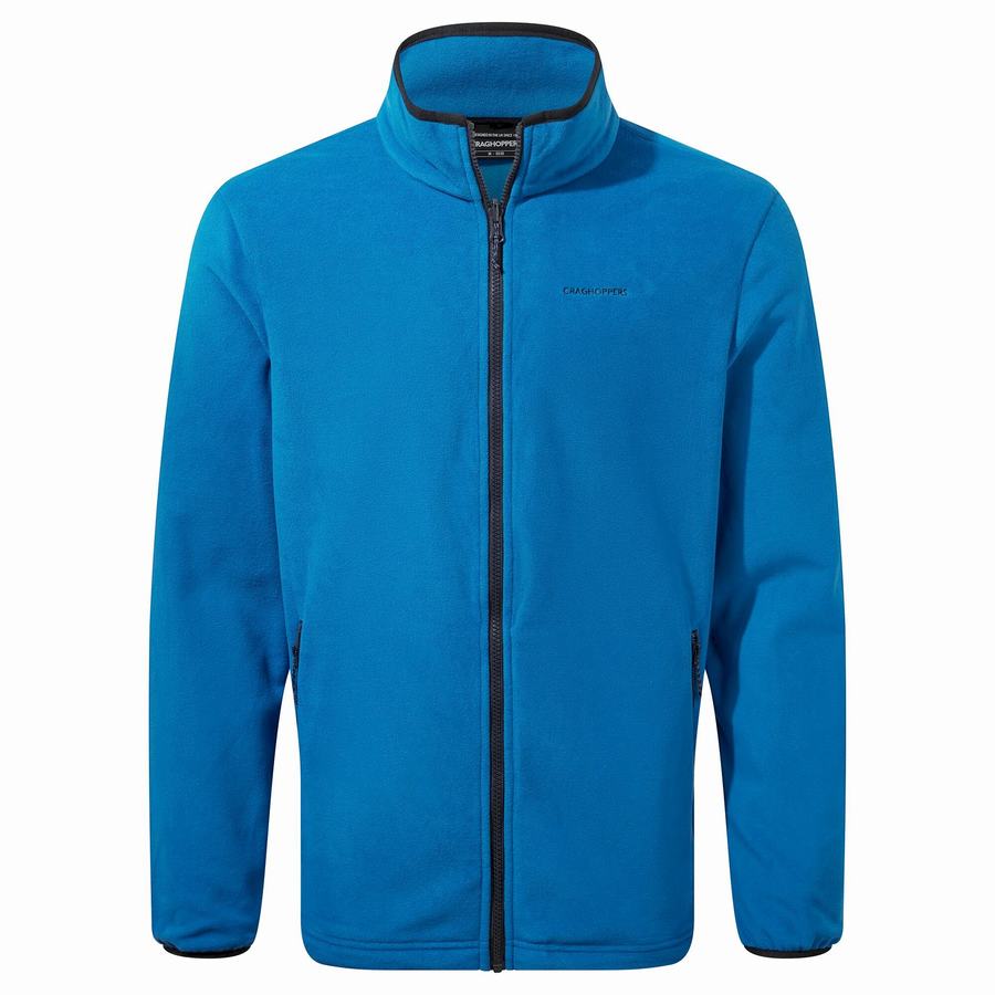 Vestes Craghoppers Lorton 3 In 1 Homme Bleu Marine Bleu | PPQ505DE