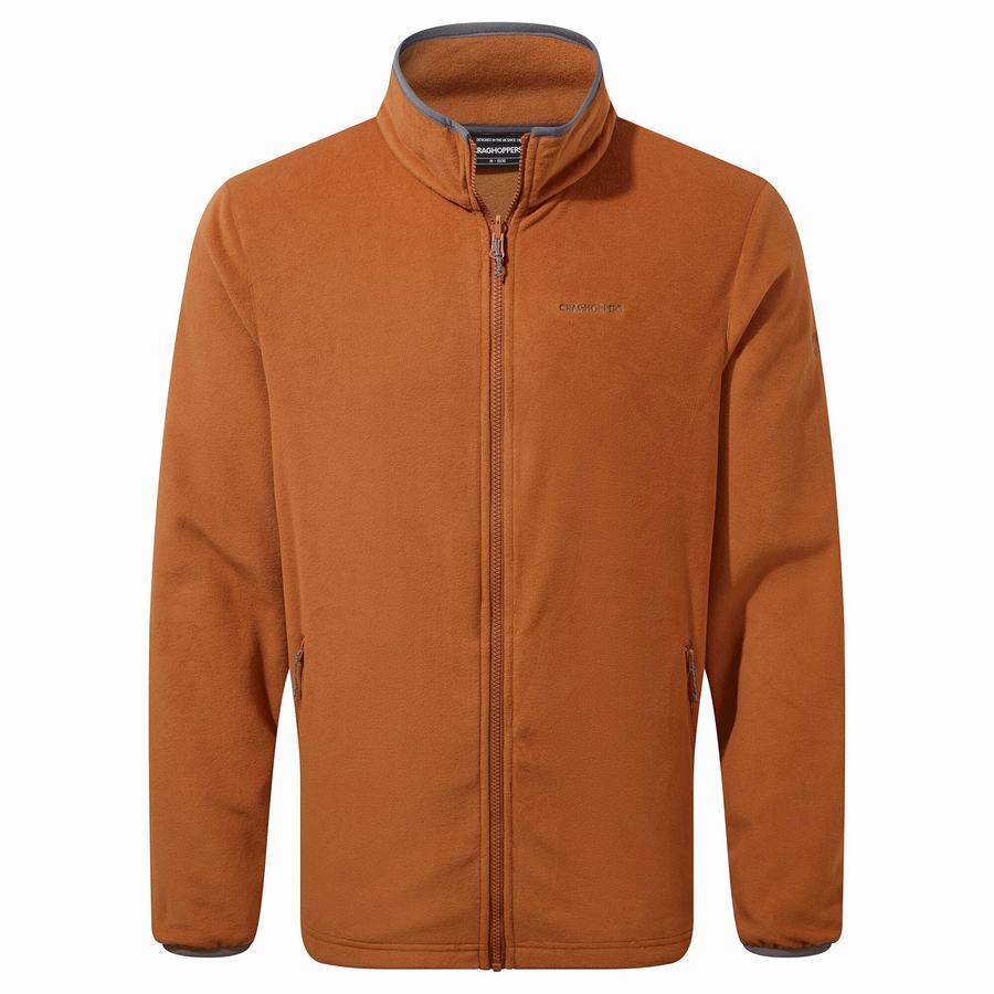 Vestes Craghoppers Lorton 3 In 1 Homme Grise | QGK912QF