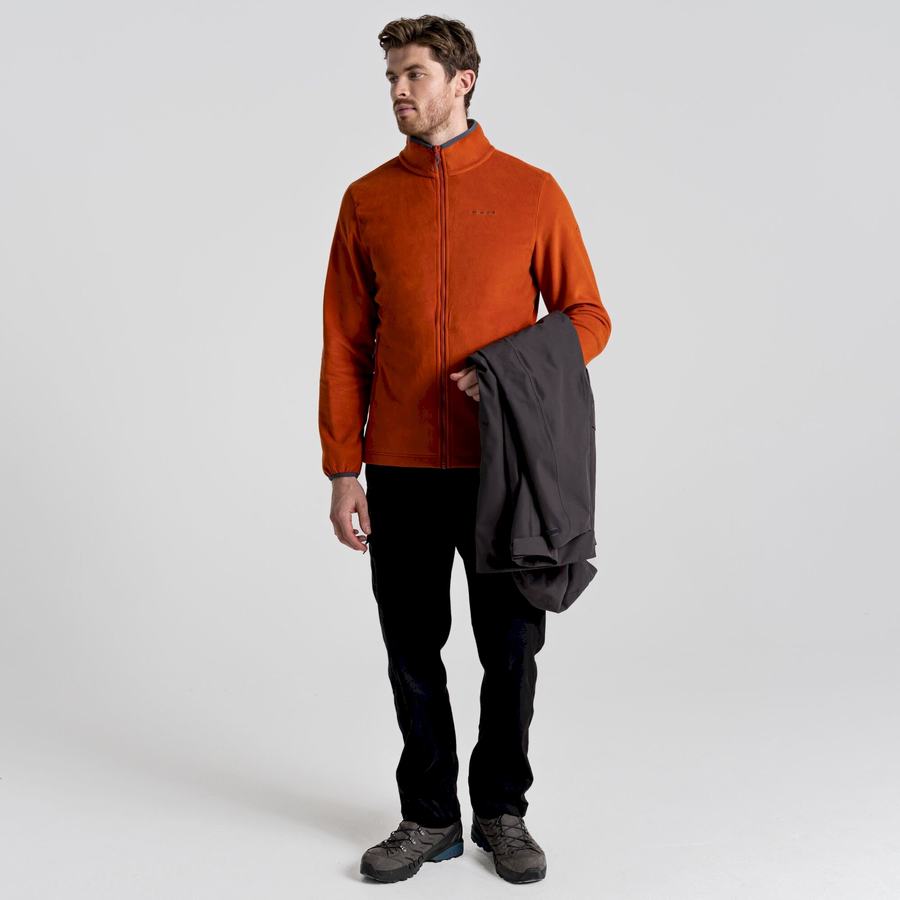 Vestes Craghoppers Lorton 3 In 1 Homme Grise | QGK912QF