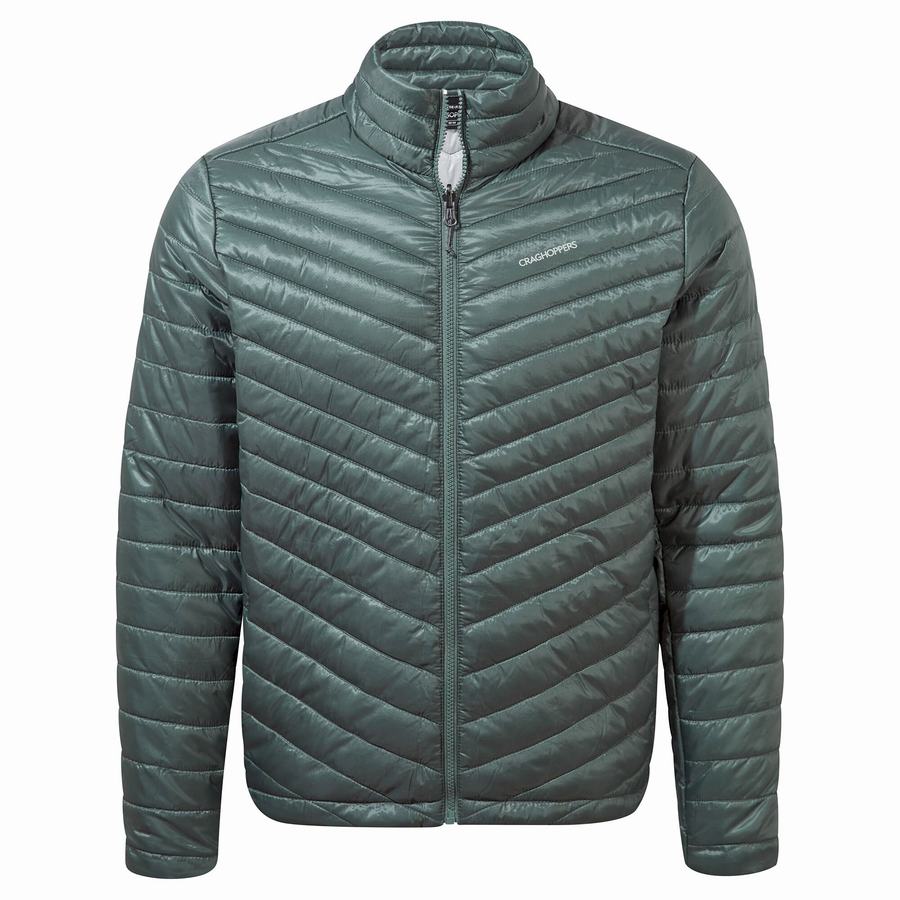 Vestes Craghoppers Lorton Pro 3 in 1 Homme Grise Marron | WCE7622SK