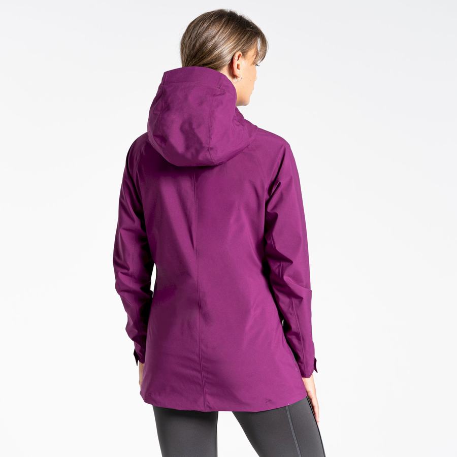 Vestes Craghoppers Minola GORE-TEX Femme Violette | UUD9951XO