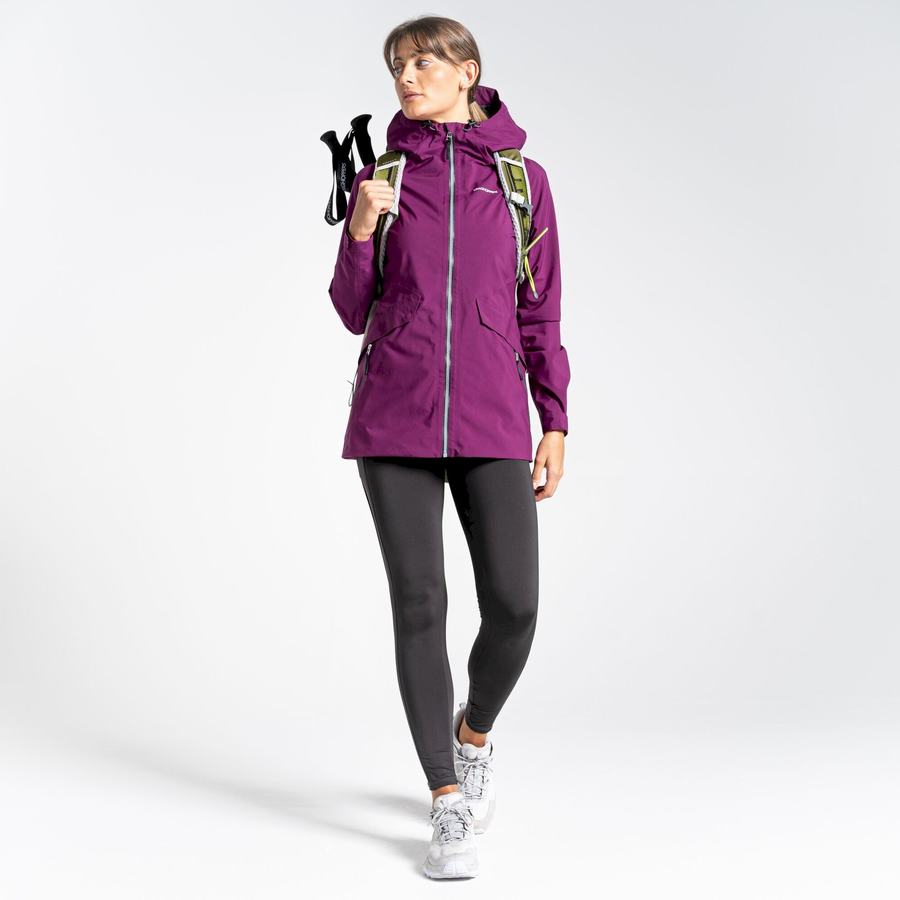 Vestes Craghoppers Minola GORE-TEX Femme Violette | UUD9951XO