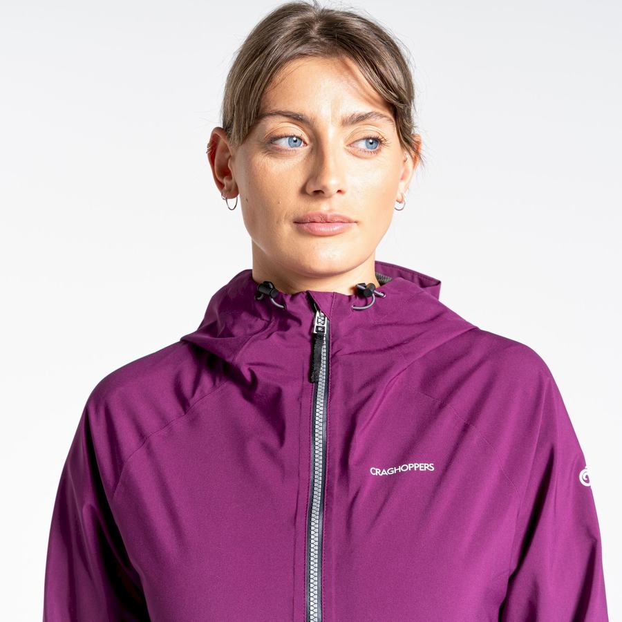 Vestes Craghoppers Minola GORE-TEX Femme Violette | UUD9951XO