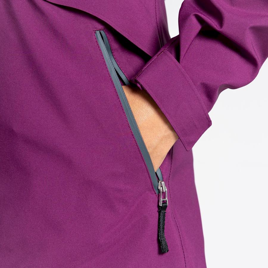 Vestes Craghoppers Minola GORE-TEX Femme Violette | UUD9951XO
