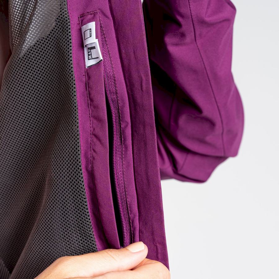 Vestes Craghoppers Minola GORE-TEX Femme Violette | UUD9951XO