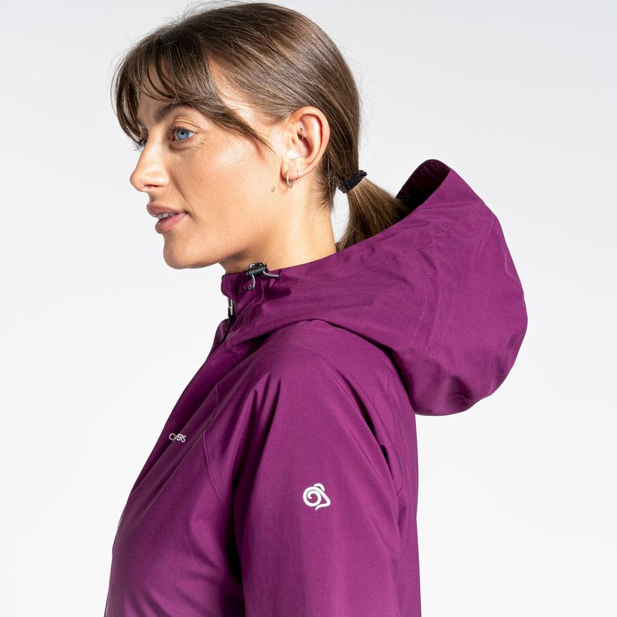 Vestes Craghoppers Minola GORE-TEX Femme Violette | UUD9951XO