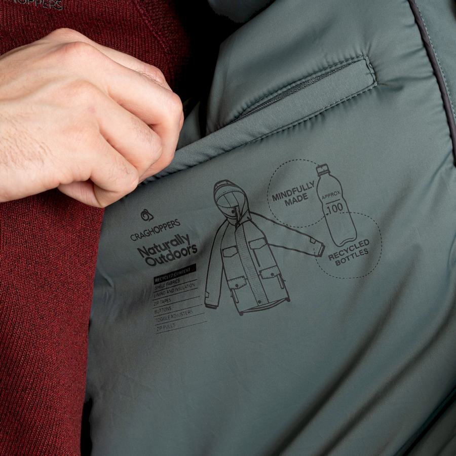 Vestes Craghoppers Sinclair Insulated Homme Vert | PNN8476PA